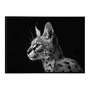 Serval �T�[�o�� �T�[�o���L���b�g �T�o���i �A�t���J ���� ���R �l�C�`���[ ���� �A�j�}�� �쐶���� �ʐ^ �L�|�X�^�[ �C���e���A ������� �v�����g�|�X�^�[ �t�H�g �V���v�� ������ ���� ��