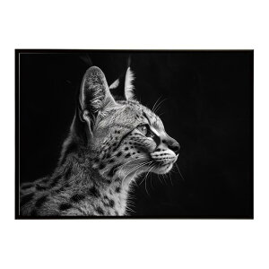 Serval �T�[�o�� �T�[�o���L���b�g �T�o���i �A�t���J ���� ���R �l�C�`���[ ���� �A�j�}�� �쐶���� �ʐ^ �L�|�X�^�[ �C���e���A ������� �v�����g�|�X�^�[ �t�H�g �V���v�� ������ ���� ��