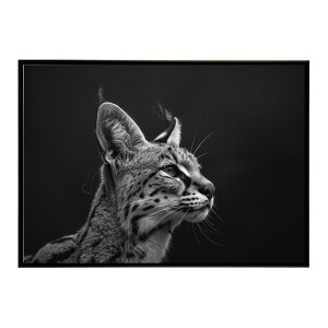 Serval �T�[�o�� �T�[�o���L���b�g �T�o���i �A�t���J ���� ���R �l�C�`���[ ���� �A�j�}�� �쐶���� �ʐ^ �L�|�X�^�[ �C���e���A ������� �v�����g�|�X�^�[ �t�H�g �V���v�� ������ ���� ��