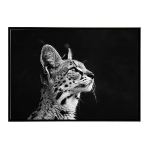 Serval �T�[�o�� �T�[�o���L���b�g �T�o���i �A�t���J ���� ���R �l�C�`���[ ���� �A�j�}�� �쐶���� �ʐ^ �L�|�X�^�[ �C���e���A ������� �v�����g�|�X�^�[ �t�H�g �V���v�� ������ ���� ��