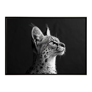 Serval �T�[�o�� �T�[�o���L���b�g �T�o���i �A�t���J ���� ���R �l�C�`���[ ���� �A�j�}�� �쐶���� �ʐ^ �L�|�X�^�[ �C���e���A ������� �v�����g�|�X�^�[ �t�H�g �V���v�� ������ ���� ��