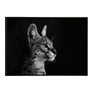 Serval �T�[�o�� �T�[�o���L���b�g �T�o���i �A�t���J ���� ���R �l�C�`���[ ���� �A�j�}�� �쐶���� �ʐ^ �L�|�X�^�[ �C���e���A ������� �v�����g�|�X�^�[ �t�H�g �V���v�� ������ ���� ��