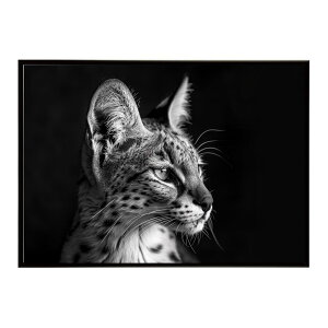 Serval �T�[�o�� �T�[�o���L���b�g �T�o���i �A�t���J ���� ���R �l�C�`���[ ���� �A�j�}�� �쐶���� �ʐ^ �L�|�X�^�[ �C���e���A ������� �v�����g�|�X�^�[ �t�H�g �V���v�� ������ ���� ��