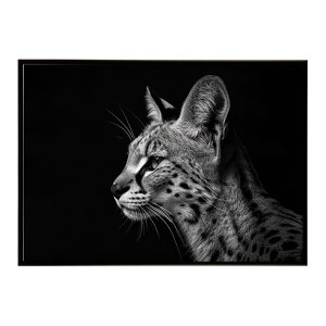 Serval �T�[�o�� �T�[�o���L���b�g �T�o���i �A�t���J ���� ���R �l�C�`���[ ���� �A�j�}�� �쐶���� �ʐ^ �L�|�X�^�[ �C���e���A ������� �v�����g�|�X�^�[ �t�H�g �V���v�� ������ ���� ��