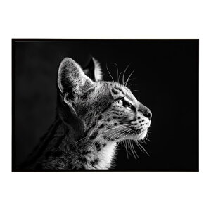 Serval �T�[�o�� �T�[�o���L���b�g �T�o���i �A�t���J ���� ���R �l�C�`���[ ���� �A�j�}�� �쐶���� �ʐ^ �L�|�X�^�[ �C���e���A ������� �v�����g�|�X�^�[ �t�H�g �V���v�� ������ ���� ��