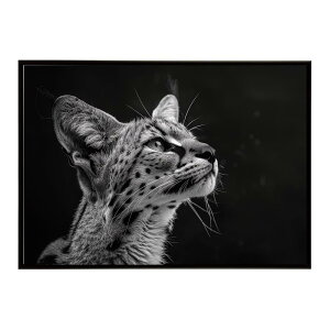 Serval �T�[�o�� �T�[�o���L���b�g �T�o���i �A�t���J ���� ���R �l�C�`���[ ���� �A�j�}�� �쐶���� �ʐ^ �L�|�X�^�[ �C���e���A ������� �v�����g�|�X�^�[ �t�H�g �V���v�� ������ ���� ��