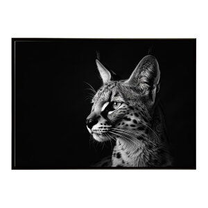 Serval �T�[�o�� �T�[�o���L���b�g �T�o���i �A�t���J ���� ���R �l�C�`���[ ���� �A�j�}�� �쐶���� �ʐ^ �L�|�X�^�[ �C���e���A ������� �v�����g�|�X�^�[ �t�H�g �V���v�� ������ ���� ��