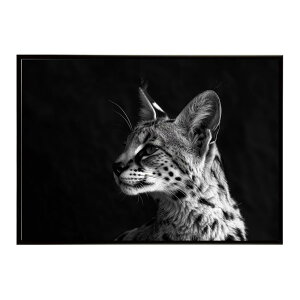 Serval �T�[�o�� �T�[�o���L���b�g �T�o���i �A�t���J ���� ���R �l�C�`���[ ���� �A�j�}�� �쐶���� �ʐ^ �L�|�X�^�[ �C���e���A ������� �v�����g�|�X�^�[ �t�H�g �V���v�� ������ ���� ��