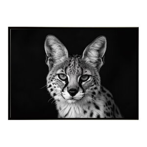 Serval �T�[�o�� �T�[�o���L���b�g �T�o���i �A�t���J ���� ���R �l�C�`���[ ���� �A�j�}�� �쐶���� �ʐ^ �L�|�X�^�[ �C���e���A ������� �v�����g�|�X�^�[ �t�H�g �V���v�� ������ ���� ��