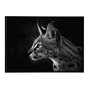 Serval �T�[�o�� �T�[�o���L���b�g �T�o���i �A�t���J ���� ���R �l�C�`���[ ���� �A�j�}�� �쐶���� �ʐ^ �L�|�X�^�[ �C���e���A ������� �v�����g�|�X�^�[ �t�H�g �V���v�� ������ ���� ��