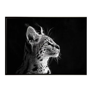 Serval �T�[�o�� �T�[�o���L���b�g �T�o���i �A�t���J ���� ���R �l�C�`���[ ���� �A�j�}�� �쐶���� �ʐ^ �L�|�X�^�[ �C���e���A ������� �v�����g�|�X�^�[ �t�H�g �V���v�� ������ ���� ��