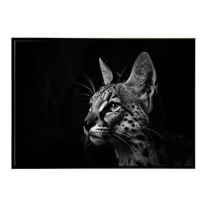 Serval �T�[�o�� �T�[�o���L���b�g �T�o���i �A�t���J ���� ���R �l�C�`���[ ���� �A�j�}�� �쐶���� �ʐ^ �L�|�X�^�[ �C���e���A ������� �v�����g�|�X�^�[ �t�H�g �V���v�� ������ ���� ��