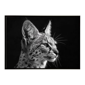 Serval �T�[�o�� �T�[�o���L���b�g �T�o���i �A�t���J ���� ���R �l�C�`���[ ���� �A�j�}�� �쐶���� �ʐ^ �L�|�X�^�[ �C���e���A ������� �v�����g�|�X�^�[ �t�H�g �V���v�� ������ ���� ��