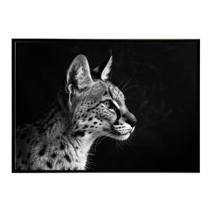 Serval �T�[�o�� �T�[�o���L���b�g �T�o���i �A�t���J ���� ���R �l�C�`���[ ���� �A�j�}�� �쐶���� �ʐ^ �L�|�X�^�[ �C���e���A ������� �v�����g�|�X�^�[ �t�H�g �V���v�� ������ ���� ��