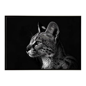 Serval �T�[�o�� �T�[�o���L���b�g �T�o���i �A�t���J ���� ���R �l�C�`���[ ���� �A�j�}�� �쐶���� �ʐ^ �L�|�X�^�[ �C���e���A ������� �v�����g�|�X�^�[ �t�H�g �V���v�� ������ ���� ��