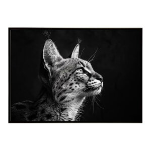 Serval �T�[�o�� �T�[�o���L���b�g �T�o���i �A�t���J ���� ���R �l�C�`���[ ���� �A�j�}�� �쐶���� �ʐ^ �L�|�X�^�[ �C���e���A ������� �v�����g�|�X�^�[ �t�H�g �V���v�� ������ ���� ��