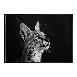 Serval �T�[�o�� �T�[�o���L���b�g �T�o���i �A�t���J ���� ���R �l�C�`���[ ���� �A�j�}�� �쐶���� �ʐ^ �L�|�X�^�[ �C���e���A ������� �v�����g�|�X�^�[ �t�H�g �V���v�� ������ ���� ��