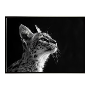 Serval �T�[�o�� �T�[�o���L���b�g �T�o���i �A�t���J ���� ���R �l�C�`���[ ���� �A�j�}�� �쐶���� �ʐ^ �L�|�X�^�[ �C���e���A ������� �v�����g�|�X�^�[ �t�H�g �V���v�� ������ ���� ��