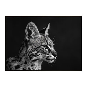 Serval �T�[�o�� �T�[�o���L���b�g �T�o���i �A�t���J ���� ���R �l�C�`���[ ���� �A�j�}�� �쐶���� �ʐ^ �L�|�X�^�[ �C���e���A ������� �v�����g�|�X�^�[ �t�H�g �V���v�� ������ ���� ��