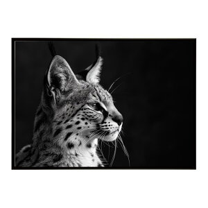 Serval �T�[�o�� �T�[�o���L���b�g �T�o���i �A�t���J ���� ���R �l�C�`���[ ���� �A�j�}�� �쐶���� �ʐ^ �L�|�X�^�[ �C���e���A ������� �v�����g�|�X�^�[ �t�H�g �V���v�� ������ ���� ��