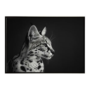 Serval �T�[�o�� �T�[�o���L���b�g �T�o���i �A�t���J ���� ���R �l�C�`���[ ���� �A�j�}�� �쐶���� �ʐ^ �L�|�X�^�[ �C���e���A ������� �v�����g�|�X�^�[ �t�H�g �V���v�� ������ ���� ��