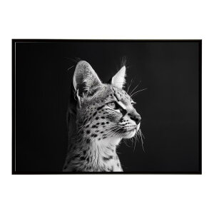 Serval �T�[�o�� �T�[�o���L���b�g �T�o���i �A�t���J ���� ���R �l�C�`���[ ���� �A�j�}�� �쐶���� �ʐ^ �L�|�X�^�[ �C���e���A ������� �v�����g�|�X�^�[ �t�H�g �V���v�� ������ ���� ��