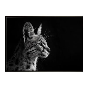 Serval �T�[�o�� �T�[�o���L���b�g �T�o���i �A�t���J ���� ���R �l�C�`���[ ���� �A�j�}�� �쐶���� �ʐ^ �L�|�X�^�[ �C���e���A ������� �v�����g�|�X�^�[ �t�H�g �V���v�� ������ ���� ��