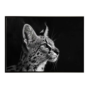 Serval �T�[�o�� �T�[�o���L���b�g �T�o���i �A�t���J ���� ���R �l�C�`���[ ���� �A�j�}�� �쐶���� �ʐ^ �L�|�X�^�[ �C���e���A ������� �v�����g�|�X�^�[ �t�H�g �V���v�� ������ ���� ��