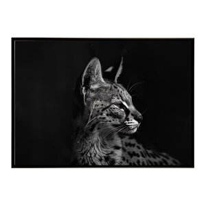 Serval �T�[�o�� �T�[�o���L���b�g �T�o���i �A�t���J ���� ���R �l�C�`���[ ���� �A�j�}�� �쐶���� �ʐ^ �L�|�X�^�[ �C���e���A ������� �v�����g�|�X�^�[ �t�H�g �V���v�� ������ ���� ��