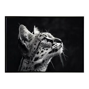 Serval �T�[�o�� �T�[�o���L���b�g �T�o���i �A�t���J ���� ���R �l�C�`���[ ���� �A�j�}�� �쐶���� �ʐ^ �L�|�X�^�[ �C���e���A ������� �v�����g�|�X�^�[ �t�H�g �V���v�� ������ ���� ��