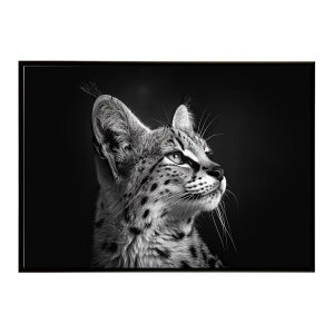 Serval �T�[�o�� �T�[�o���L���b�g �T�o���i �A�t���J ���� ���R �l�C�`���[ ���� �A�j�}�� �쐶���� �ʐ^ �L�|�X�^�[ �C���e���A ������� �v�����g�|�X�^�[ �t�H�g �V���v�� ������ ���� ��