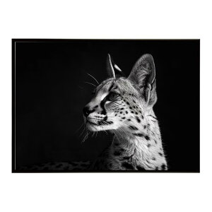 Serval �T�[�o�� �T�[�o���L���b�g �T�o���i �A�t���J ���� ���R �l�C�`���[ ���� �A�j�}�� �쐶���� �ʐ^ �L�|�X�^�[ �C���e���A ������� �v�����g�|�X�^�[ �t�H�g �V���v�� ������ ���� ��