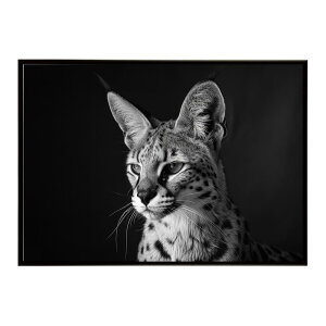 Serval �T�[�o�� �T�[�o���L���b�g �T�o���i �A�t���J ���� ���R �l�C�`���[ ���� �A�j�}�� �쐶���� �ʐ^ �L�|�X�^�[ �C���e���A ������� �v�����g�|�X�^�[ �t�H�g �V���v�� ������ ���� ��