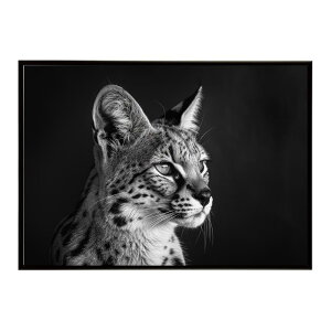 Serval �T�[�o�� �T�[�o���L���b�g �T�o���i �A�t���J ���� ���R �l�C�`���[ ���� �A�j�}�� �쐶���� �ʐ^ �L�|�X�^�[ �C���e���A ������� �v�����g�|�X�^�[ �t�H�g �V���v�� ������ ���� ��