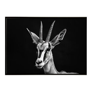 Springbok �X�v�����O�{�b�N �A���e���[�v �T�o���i �A�t���J ���� ���R �l�C�`���[ ���� �A�j�}�� �쐶���� �ʐ^ ���|�X�^�[ �C���e���A ������� �v�����g�|�X�^�[ �t�H�g �V���v�� ������ ��
