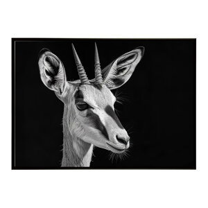 Springbok �X�v�����O�{�b�N �A���e���[�v �T�o���i �A�t���J ���� ���R �l�C�`���[ ���� �A�j�}�� �쐶���� �ʐ^ ���|�X�^�[ �C���e���A ������� �v�����g�|�X�^�[ �t�H�g �V���v�� ������ ��