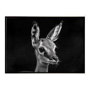 Steenbok �X�e�B�[���{�b�N �A���e���[�v �T�o���i �A�t���J ���� ���R �l�C�`���[ ���� �A�j�}�� �쐶���� �ʐ^ ���|�X�^�[ �C���e���A ������� �v�����g�|�X�^�[ �t�H�g �V���v�� ������ ��