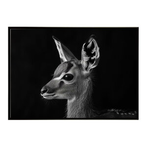 Steenbok �X�e�B�[���{�b�N �A���e���[�v �T�o���i �A�t���J ���� ���R �l�C�`���[ ���� �A�j�}�� �쐶���� �ʐ^ ���|�X�^�[ �C���e���A ������� �v�����g�|�X�^�[ �t�H�g �V���v�� ������ ��