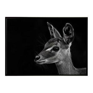 Steenbok �X�e�B�[���{�b�N �A���e���[�v �T�o���i �A�t���J ���� ���R �l�C�`���[ ���� �A�j�}�� �쐶���� �ʐ^ ���|�X�^�[ �C���e���A ������� �v�����g�|�X�^�[ �t�H�g �V���v�� ������ ��