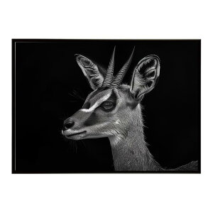 Steenbok �X�e�B�[���{�b�N �A���e���[�v �T�o���i �A�t���J ���� ���R �l�C�`���[ ���� �A�j�}�� �쐶���� �ʐ^ ���|�X�^�[ �C���e���A ������� �v�����g�|�X�^�[ �t�H�g �V���v�� ������ ��