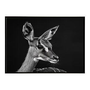 Steenbok �X�e�B�[���{�b�N �A���e���[�v �T�o���i �A�t���J ���� ���R �l�C�`���[ ���� �A�j�}�� �쐶���� �ʐ^ ���|�X�^�[ �C���e���A ������� �v�����g�|�X�^�[ �t�H�g �V���v�� ������ ��