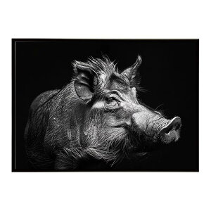 Warthog �C�{�C�m�V�V �E�H�[�g�z�b�O �T�o���i �A�t���J ���� ���R �l�C�`���[ ���� �A�j�}�� �쐶���� �ʐ^ �؃|�X�^�[ �C���e���A ������� �v�����g�|�X�^�[ �t�H�g �V���v�� ������ ���� 
