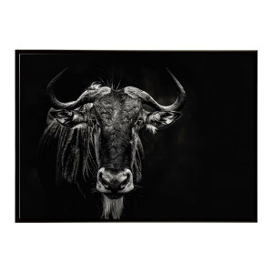 Wildebeest �k�[ �k�[�A���e���[�v ���C���h�r�[�X�g �T�o���i �A�t���J ���� ���R �l�C�`���[ ���� �A�j�}�� �쐶���� �ʐ^ ���|�X�^�[ �C���e���A ������� �v�����g�|�X�^�[ �t�H�g �V���v��