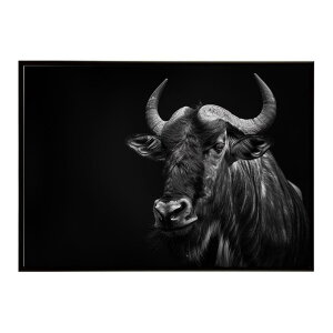 Wildebeest �k�[ �k�[�A���e���[�v ���C���h�r�[�X�g �T�o���i �A�t���J ���� ���R �l�C�`���[ ���� �A�j�}�� �쐶���� �ʐ^ ���|�X�^�[ �C���e���A ������� �v�����g�|�X�^�[ �t�H�g �V���v��