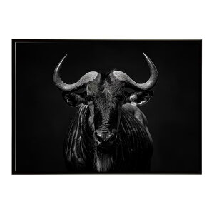 Wildebeest �k�[ �k�[�A���e���[�v ���C���h�r�[�X�g �T�o���i �A�t���J ���� ���R �l�C�`���[ ���� �A�j�}�� �쐶���� �ʐ^ ���|�X�^�[ �C���e���A ������� �v�����g�|�X�^�[ �t�H�g �V���v��
