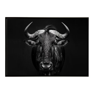 Wildebeest �k�[ �k�[�A���e���[�v ���C���h�r�[�X�g �T�o���i �A�t���J ���� ���R �l�C�`���[ ���� �A�j�}�� �쐶���� �ʐ^ ���|�X�^�[ �C���e���A ������� �v�����g�|�X�^�[ �t�H�g �V���v��