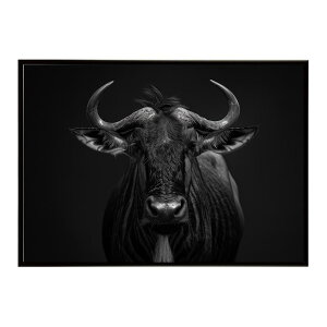 Wildebeest �k�[ �k�[�A���e���[�v ���C���h�r�[�X�g �T�o���i �A�t���J ���� ���R �l�C�`���[ ���� �A�j�}�� �쐶���� �ʐ^ ���|�X�^�[ �C���e���A ������� �v�����g�|�X�^�[ �t�H�g �V���v��