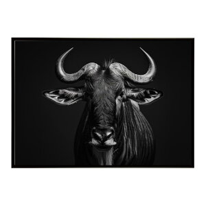 Wildebeest �k�[ �k�[�A���e���[�v ���C���h�r�[�X�g �T�o���i �A�t���J ���� ���R �l�C�`���[ ���� �A�j�}�� �쐶���� �ʐ^ ���|�X�^�[ �C���e���A ������� �v�����g�|�X�^�[ �t�H�g �V���v��