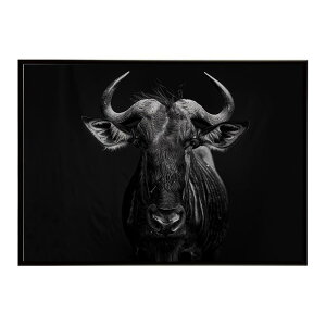 Wildebeest �k�[ �k�[�A���e���[�v ���C���h�r�[�X�g �T�o���i �A�t���J ���� ���R �l�C�`���[ ���� �A�j�}�� �쐶���� �ʐ^ ���|�X�^�[ �C���e���A ������� �v�����g�|�X�^�[ �t�H�g �V���v��