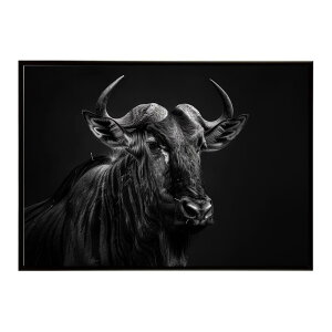Wildebeest �k�[ �k�[�A���e���[�v ���C���h�r�[�X�g �T�o���i �A�t���J ���� ���R �l�C�`���[ ���� �A�j�}�� �쐶���� �ʐ^ ���|�X�^�[ �C���e���A ������� �v�����g�|�X�^�[ �t�H�g �V���v��